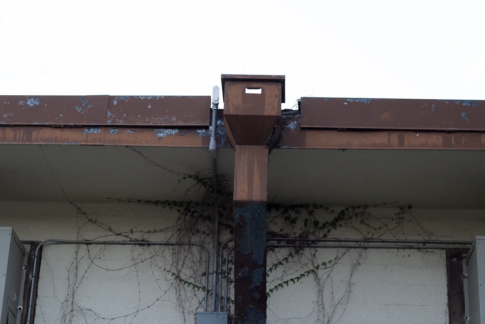 A rusted steel column and downspout supporting a low awning, dead vines climbing the wall behind it