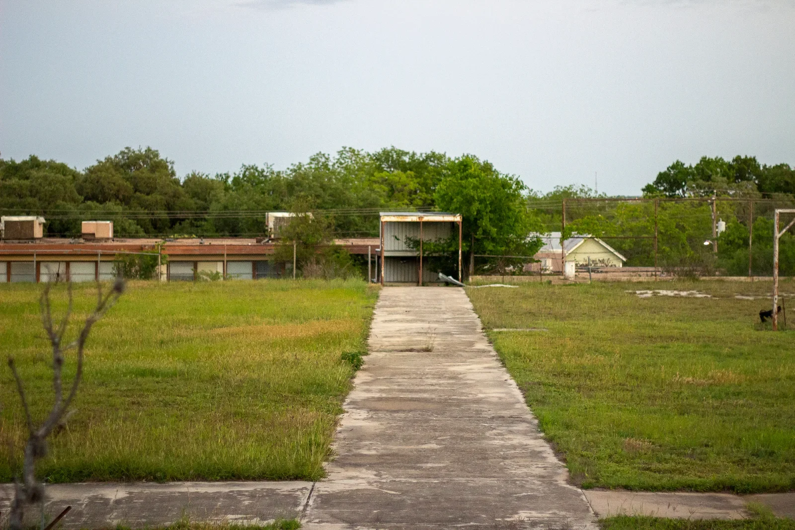 A cracked concrete path running through an overgrown field of tall grass toward the low silhouette of the abandoned school and gymnasium, trees along the horizon