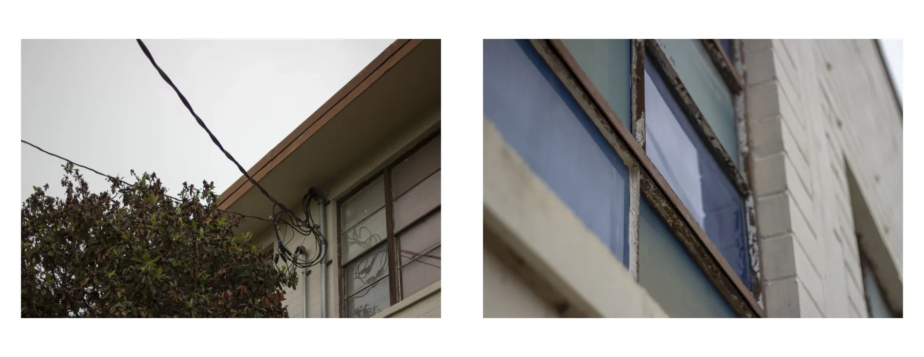 A spread carrying two photographs at matched size, one to a page — a magnolia crown and the school's roofline with tangled service wiring on the verso, a low-angle detail of a painted blue window band against cinder block on the recto